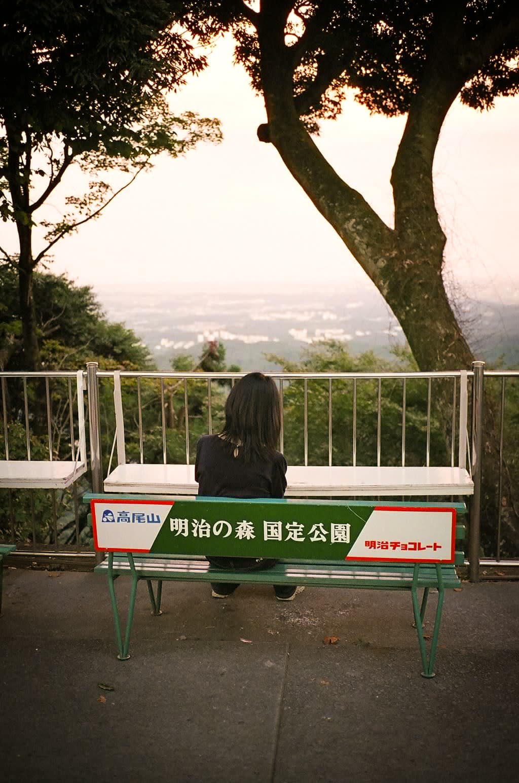 Photo by Guwashi999 from Tokyo, Japan (CC BY 2.0) via Wikimedia Commons